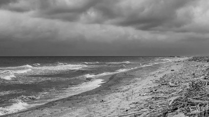 The sea in the winter season, San Rossore, Pisa, Tuscany, Italy