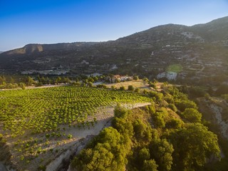 Aerial bird's eye view of Holy monastery of Archangel Michael (Archangelou Michail) in Monagri village, Limassol, Cyprus, an ancient christian religious monument, in vineyards, at sunset, from above.