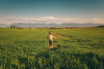 Adorable kid boy running in spring wheat field, arms wide open. Image taken in Canton of Vaud, Switzerland