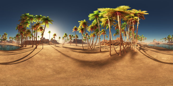 360 Grad Panorama mit einer Wüstenoase und Palmen