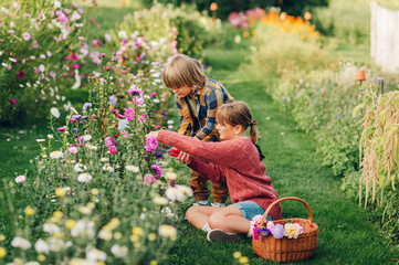 Group of two kids working together in autumn garden, cut chrysanthemum bouquet