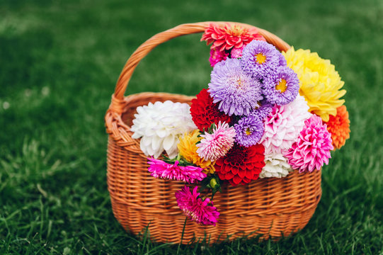 Basket full of colorful autumn flowers on green background