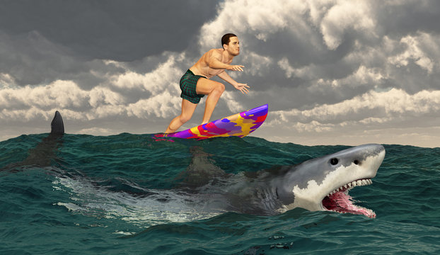 Surfer auf einem Surfbrett und weißer Hai