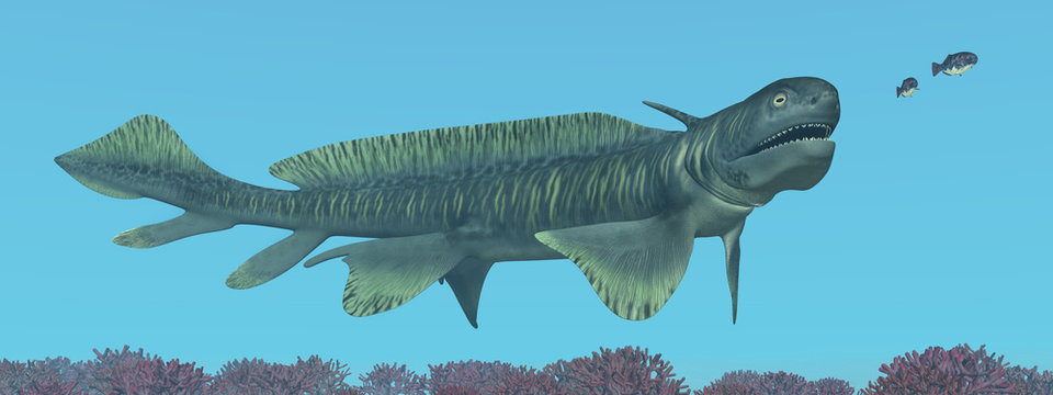 Pr&auml;historischer Hai Orthacanthus