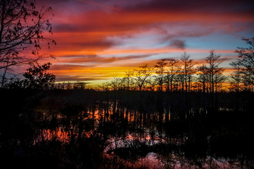 sunset in the swamps
