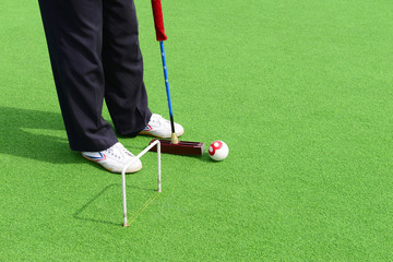 Play croquet