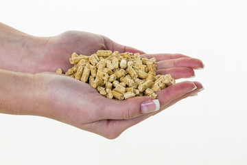 hand with pellets as alternative energy