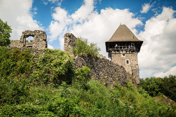 Fototapeta premium Ruins of the Nevitsky castl. The castle was built in the 13th century.