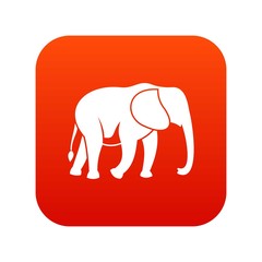 Wild elephant icon digital red