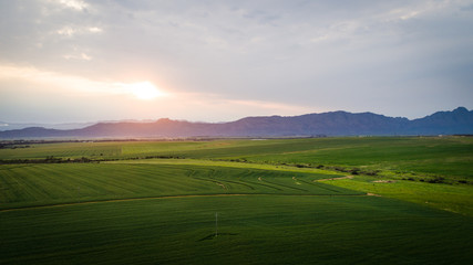 Aerial photo over a green wheat field in the Swartland in the western cape of South Africa