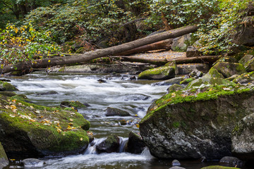 Fototapeta premium Bode im Harz Flusslandschaft