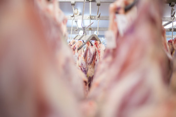 close up image of a meat hooks in a slaughterhouse with mutton carcasses in the background