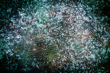 Under ice textures of grass and leaves. Saturated image.