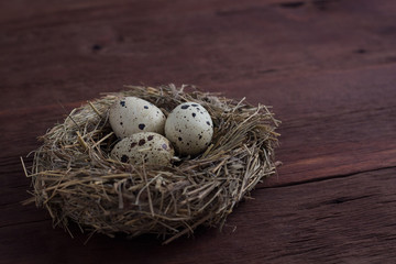 Naklejka na ściany i meble Quail eggs in a nest on a wooden background. Village concept