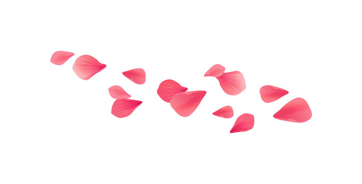 Red flying petals isolated on White background. Sakura Roses petals. Vector