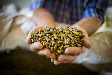 Close up image of hands holding animal feed at a stock yard - obrazy, fototapety, plakaty
