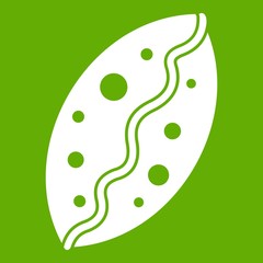 Baked pastry icon green
