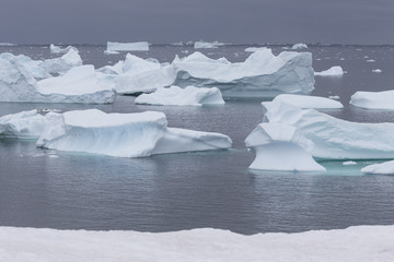 Eisberge vor Petermann Island