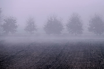 Fototapeta na wymiar Foggy morning