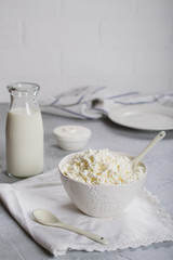 Organic farmer's fresh dairy products: milk, cottage cheese, sour cream. On gray concrete background.