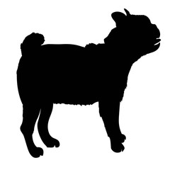 French Bulldog purebred dog standing in side view - vector silhouette isolated