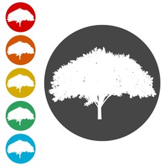 Tree silhouette icon 