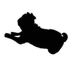 French Bulldog purebred dog standing in side view - vector silhouette isolated