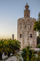 Fototapeta na wymiar Golden tower, Seville