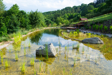 Naklejka premium Natural swimming pond or natural swimming pool - NSP - purifying water without chemicals through biological filters and plants