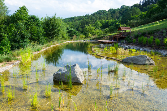 Natural swimming pond or natural swimming pool - NSP - purifying water without chemicals through biological filters and plants