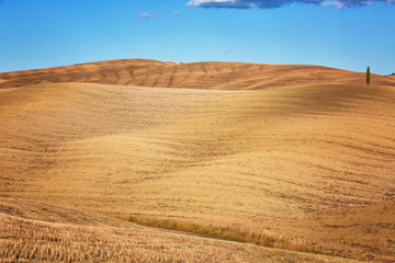 Beautiful rural landscape, Tuscany in autumn