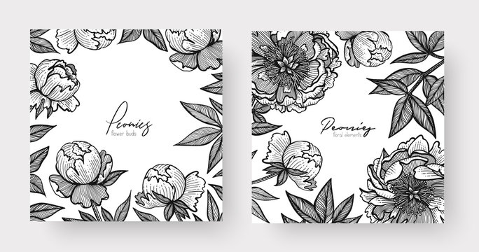 Graphic detailed frame with peony flowers and leaves. Two design templates for overlay your text, call-to-action, print, web design, stationery, promo, headline, invitations, or greetings cards