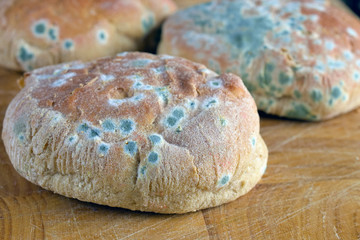 Moldy inedible food. Mold on bread rolls.