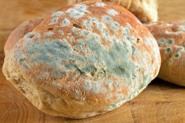 Close up of moldy bread