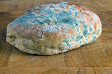 Mold on bread. Best before date has expired a long time ago with this moldy food. Space for text.
