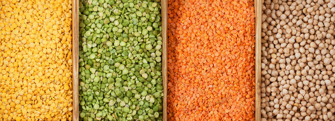 Family of beans panorama. Yellow lentils, peas are green chipped, red lentils, chickpeas.