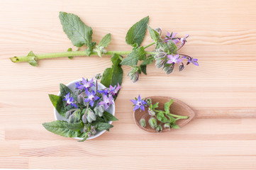 starflower / top view of Bowl and wooden spoon with Borage