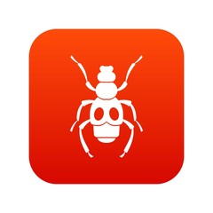 Beetle insect icon digital red