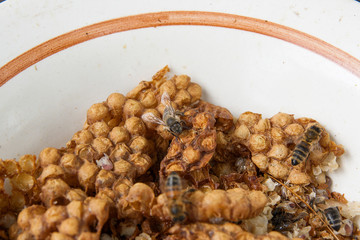 Close up view of the working bee on the honeycomb. Section of wax honeycomb in white plate on wooden background..