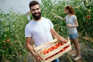 Obraz premium Attractive happy male farmer working in greenhouse