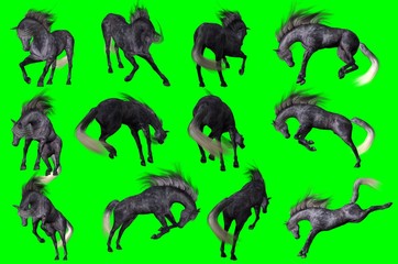 Collezione su sfondo chroma key di pose di cavallo arabo