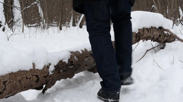 Elderly Man In Winter Forest Step Over Fallen Tree