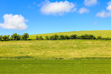 Sussex Landscape
