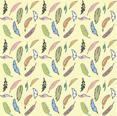 color feathers pattern2
