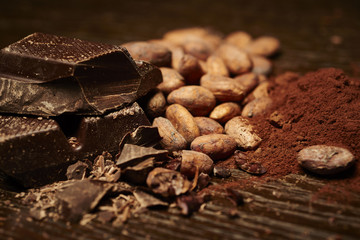 cocoa beans and powder, pieces of dark and white chocolate