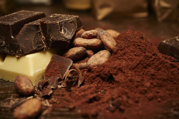 cocoa beans and powder, pieces of dark and white chocolate