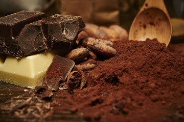 cocoa beans and powder, pieces of dark and white chocolate