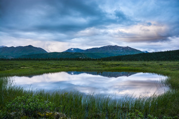 reflection of Alaska Range in a Pond near Paxson