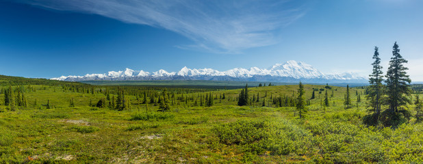 panoramic view of Denali Range in Denali National Park, Alaska