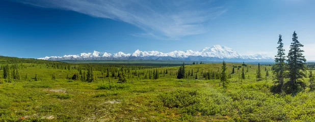 Foto auf Acrylglas Denali Panoramablick auf die Denali Range im Denali Nationalpark, Alaska